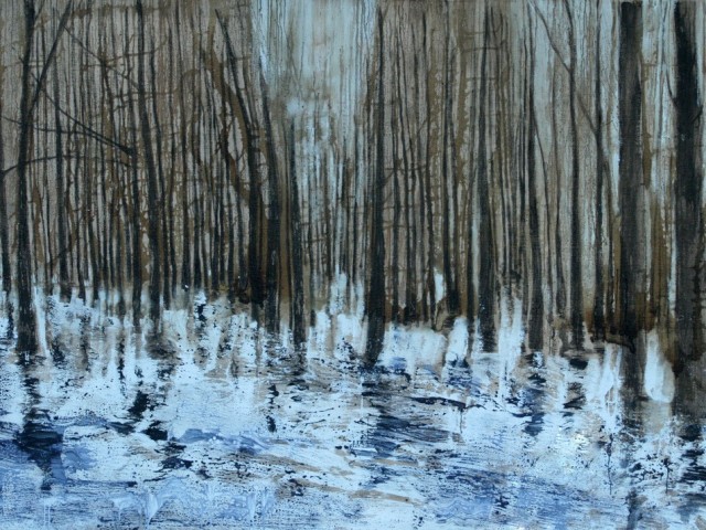 Serie Bosques de agua (a)