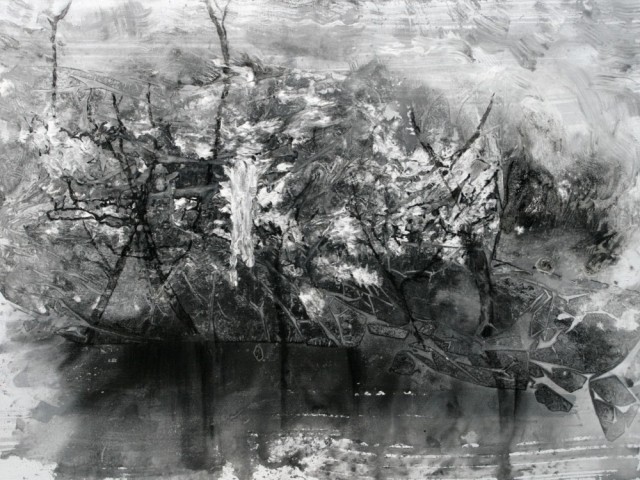 Serie "Bosques de hielo"