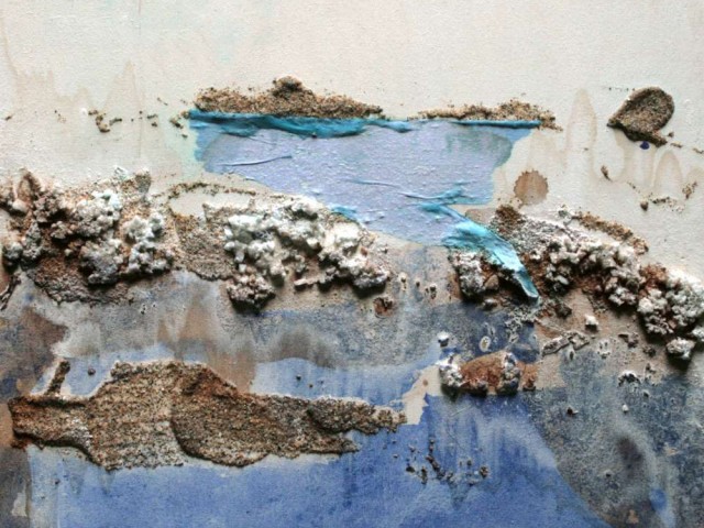 "Paisaje Costero"